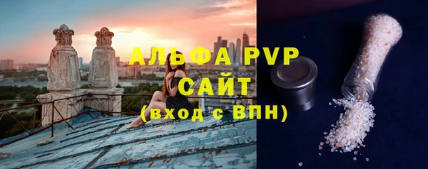 стафф Карпинск