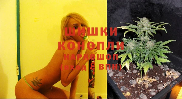 стафф Карпинск