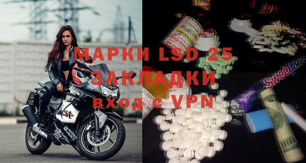 стафф Карпинск