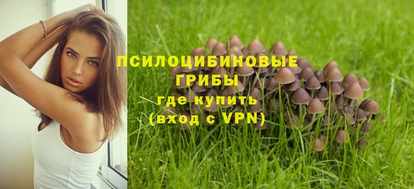 скорость Карталы