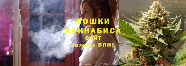 стафф Карпинск