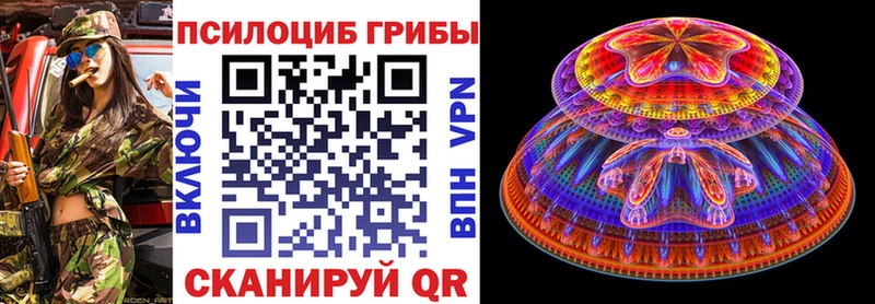 Псилоцибиновые грибы Cubensis  Купить закладки  Бавлы 